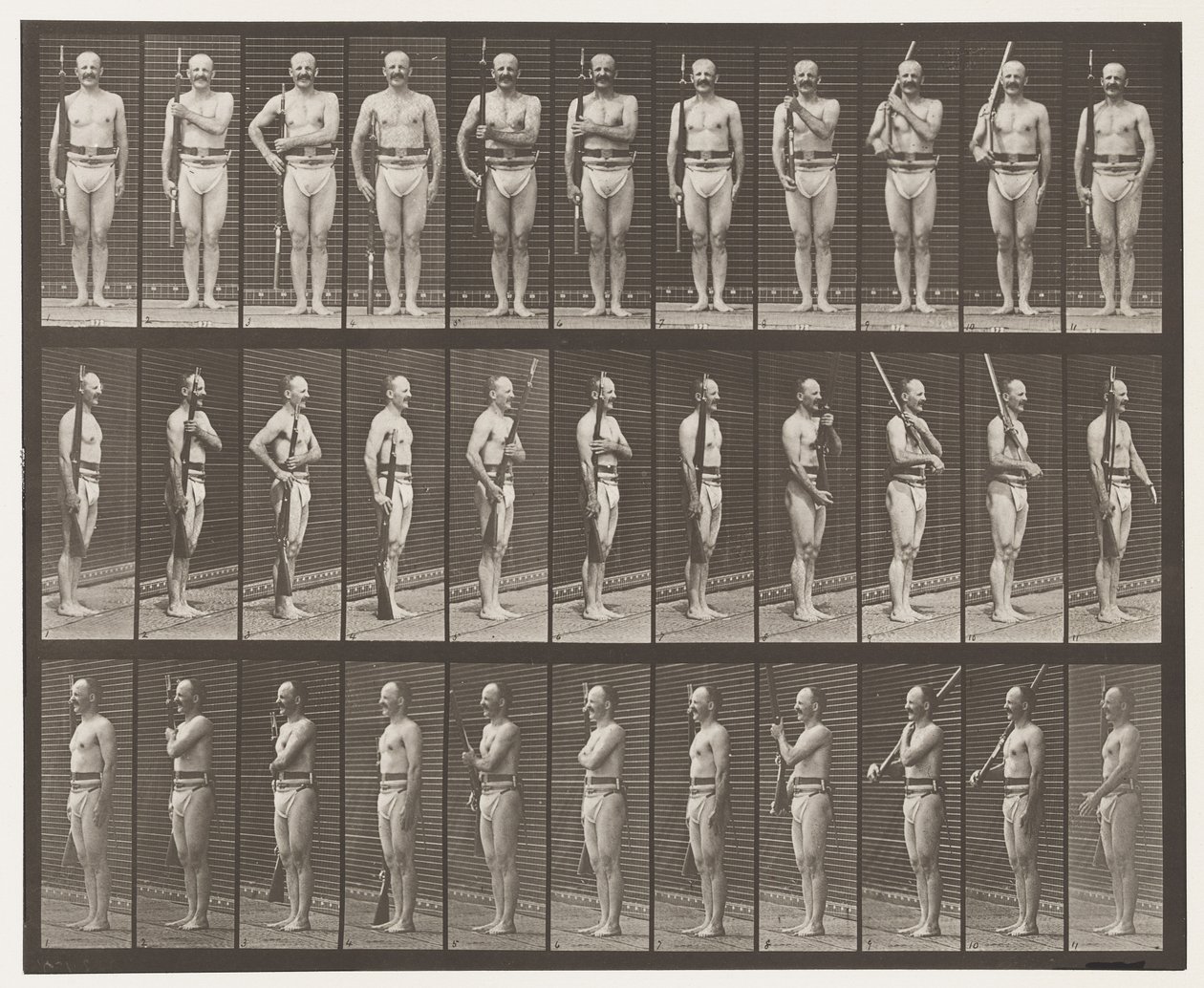 Spalla, ordine e portare armi (tavola 352) da Eadweard Muybridge