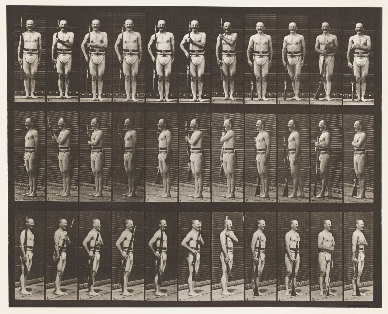 Tavola 354. Porta armi, riposo parata e trascina armi da Eadweard Muybridge
