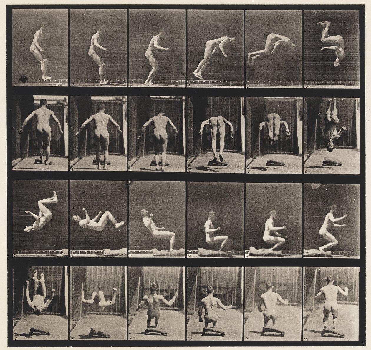 Capriola in corsa da Eadweard Muybridge