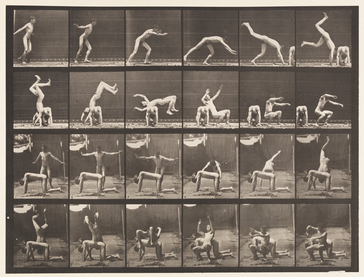 Tavola 364. Capovolta sopra la schiena di un uomo da Eadweard Muybridge