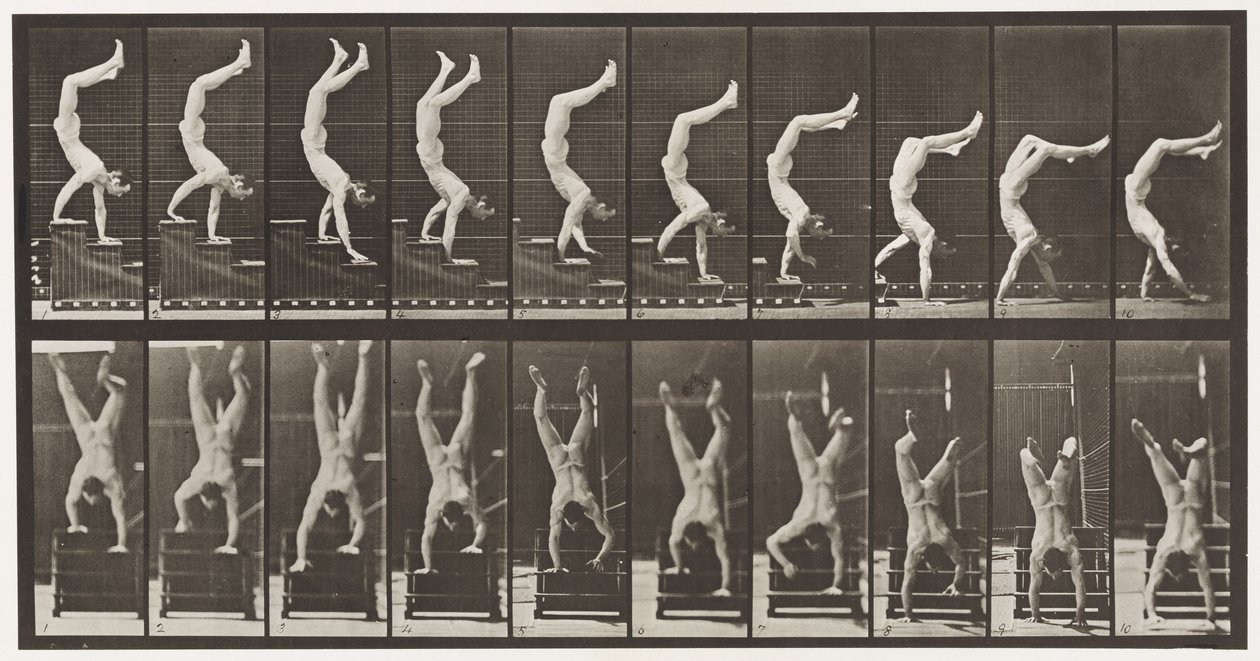 Acrobata, scendere le scale sulle mani (tavola 368) da Eadweard Muybridge