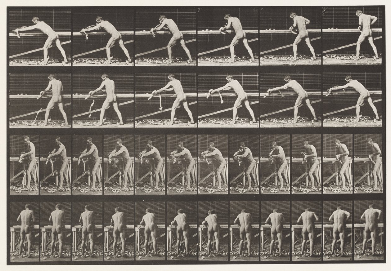 Carpentiere, Piallare una Tavola, 1872-1885 da Eadweard Muybridge