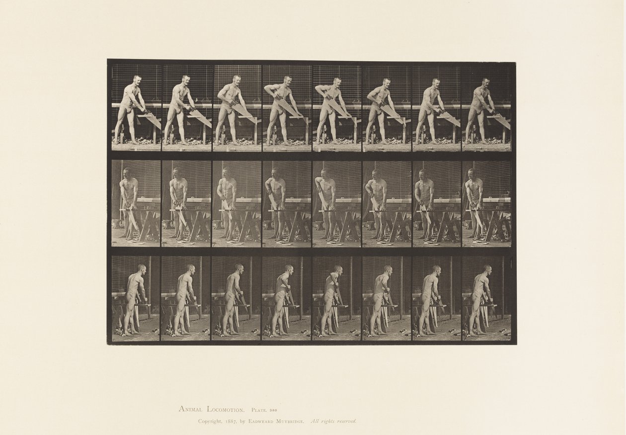 Carpentiere, segare da Eadweard Muybridge