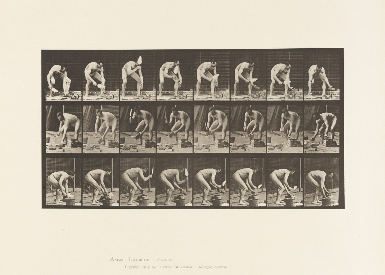 Piastra 381. Muratore, posare un mattone da Eadweard Muybridge