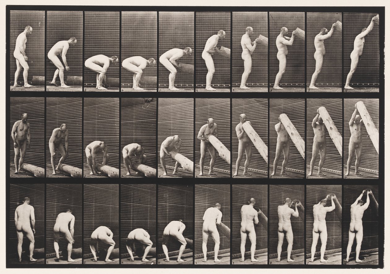 Sollevare un tronco in piedi, 1872-1885 da Eadweard Muybridge