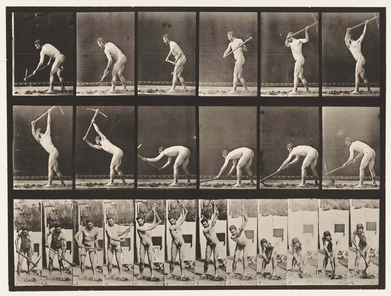 Contadino, usando un piccone, 1872-1885 da Eadweard Muybridge