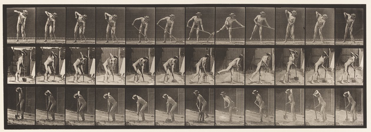 Tavola 387. Contadino, uso di una pala a manico lungo da Eadweard Muybridge
