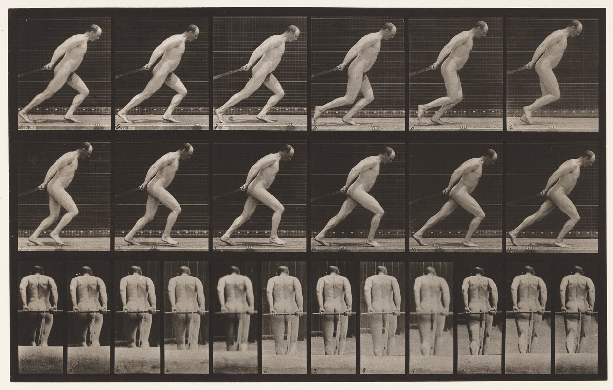 Tavola 392. Trascinare un rullo da giardino da Eadweard Muybridge