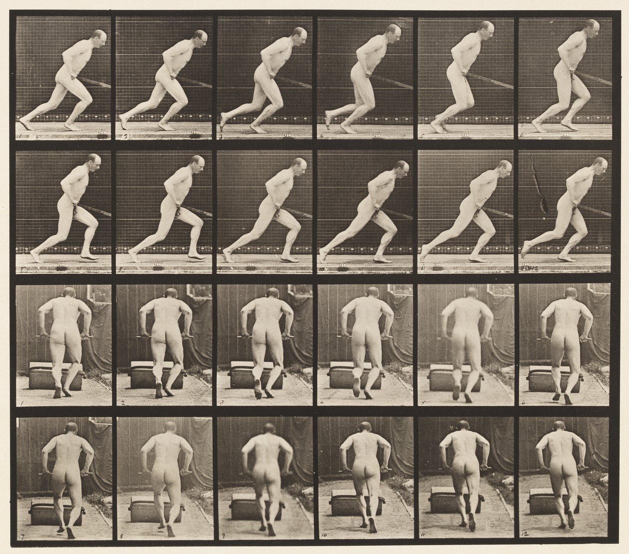 Spingere un rullo da giardino da Eadweard Muybridge