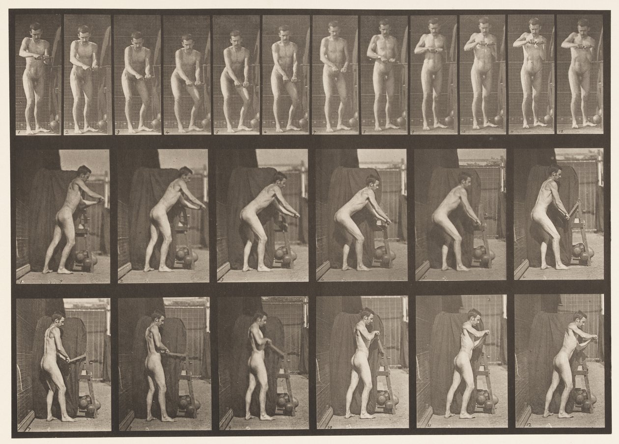 Piastra 395. Girare una manovella da Eadweard Muybridge