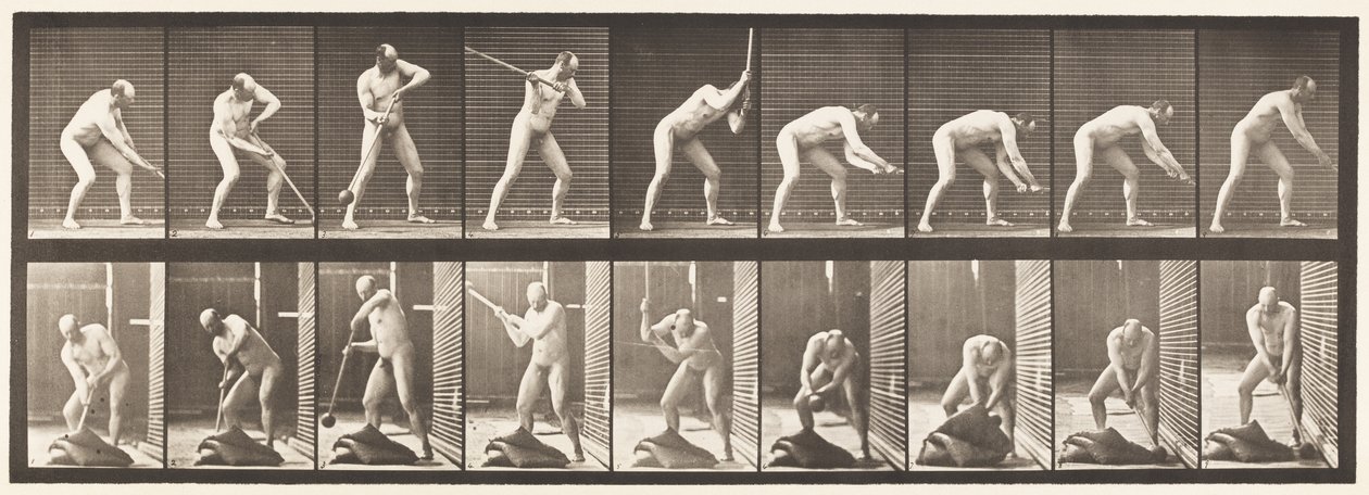 Tavola 396. Battere con un martello da Eadweard Muybridge