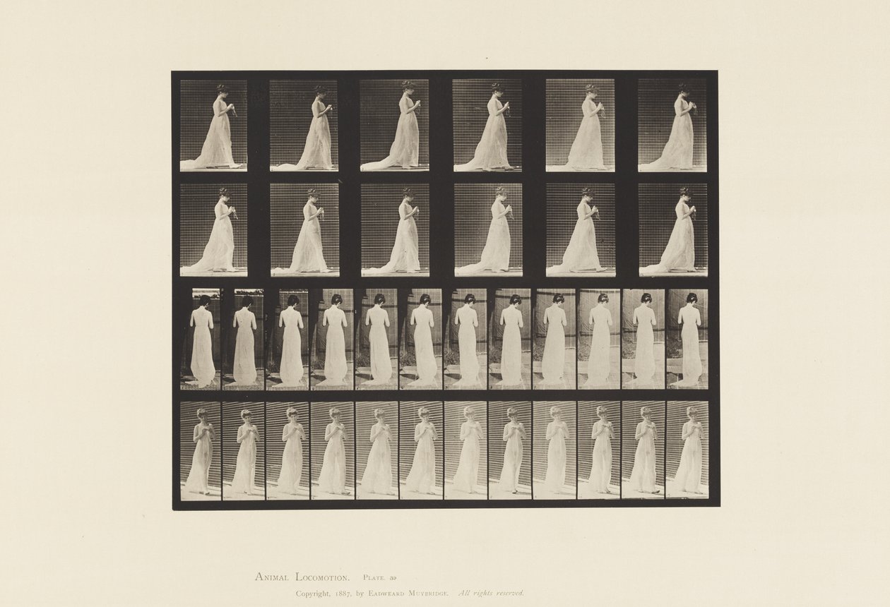 Tavola 39. Camminare, mani impegnate a lavorare a maglia, 1872-1885 da Eadweard Muybridge