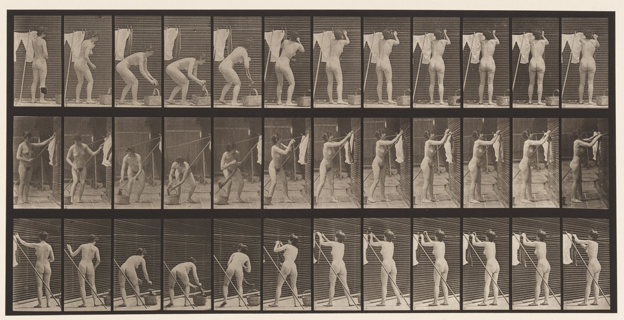 Tavola 434. Appendere i vestiti sulla linea, 1872-1885 da Eadweard Muybridge