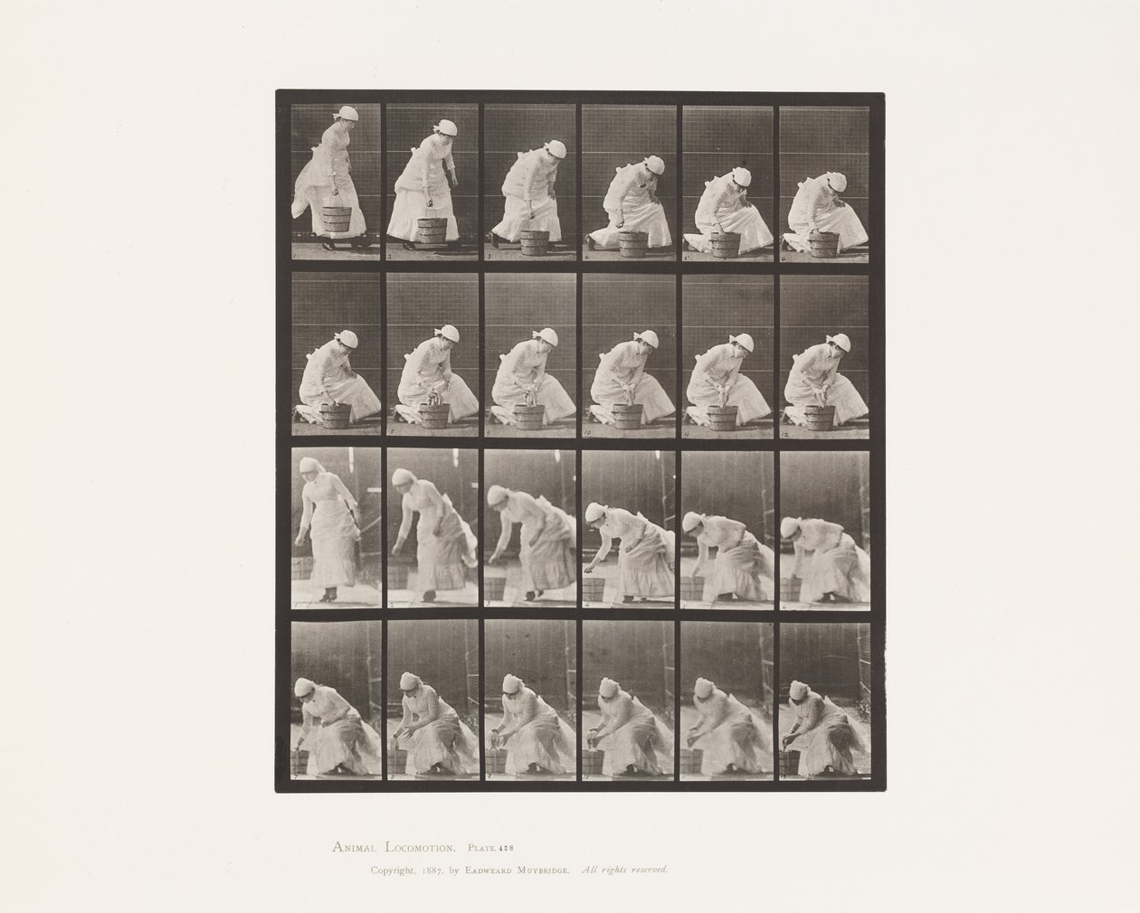 Posare un secchio e prepararsi a strofinare da Eadweard Muybridge