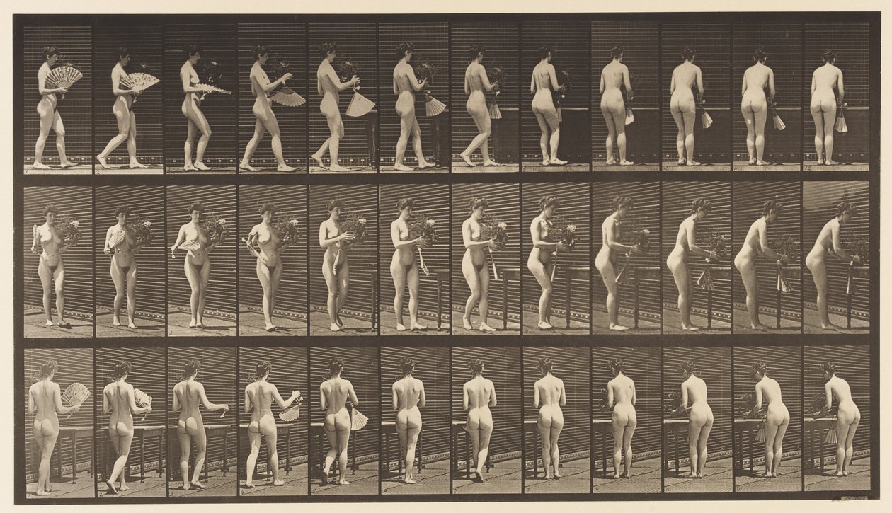 Tavola 441. Portare il vaso e posizionarlo sul tavolo, 1872-1885 da Eadweard Muybridge