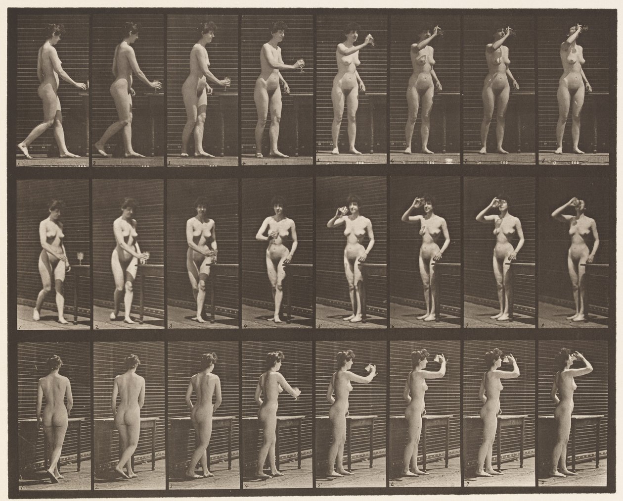 Piastra 443. Bere da un calice mentre si è in piedi da Eadweard Muybridge