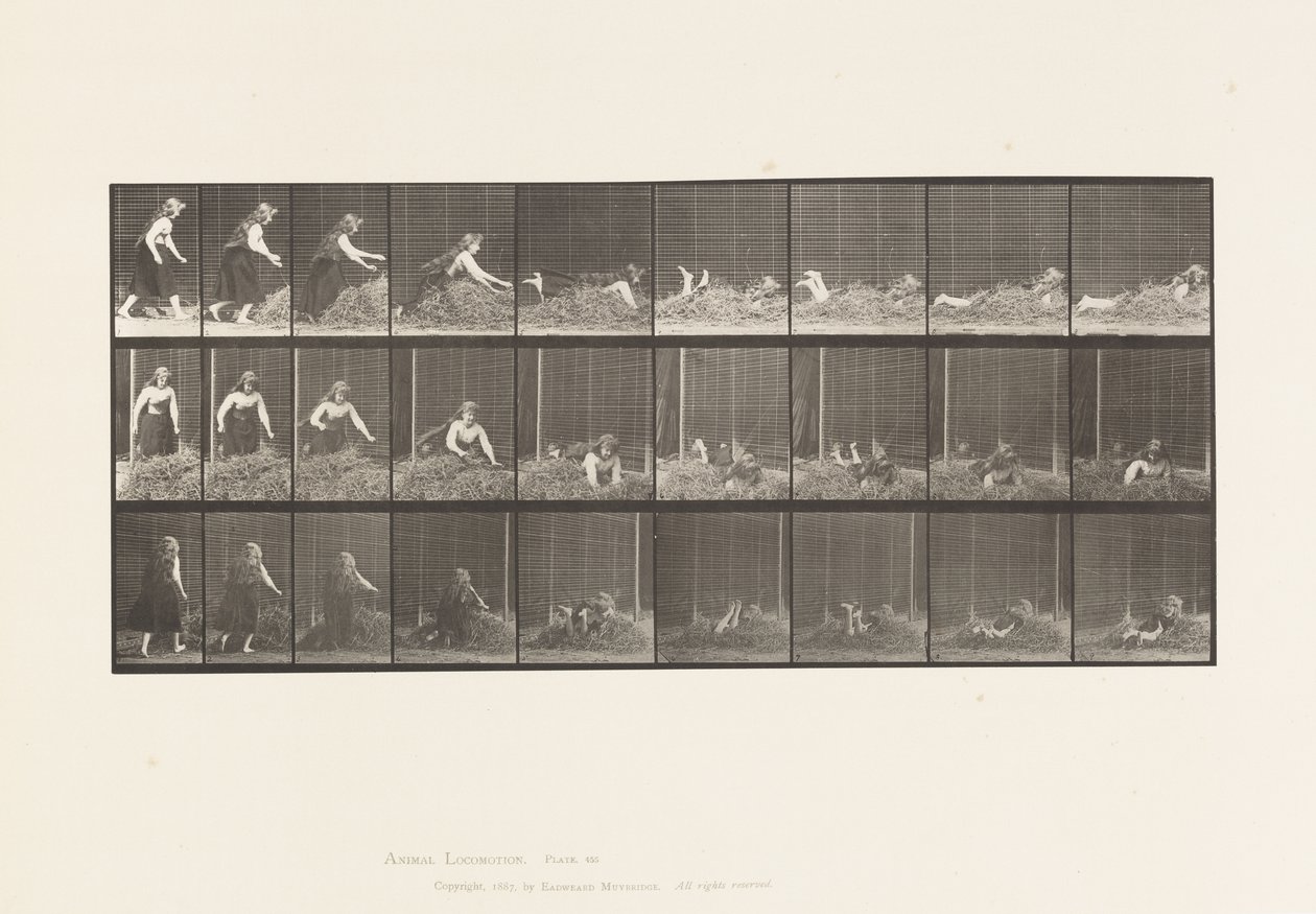 Tavola 455. Gettarsi su un mucchio di fieno da Eadweard Muybridge