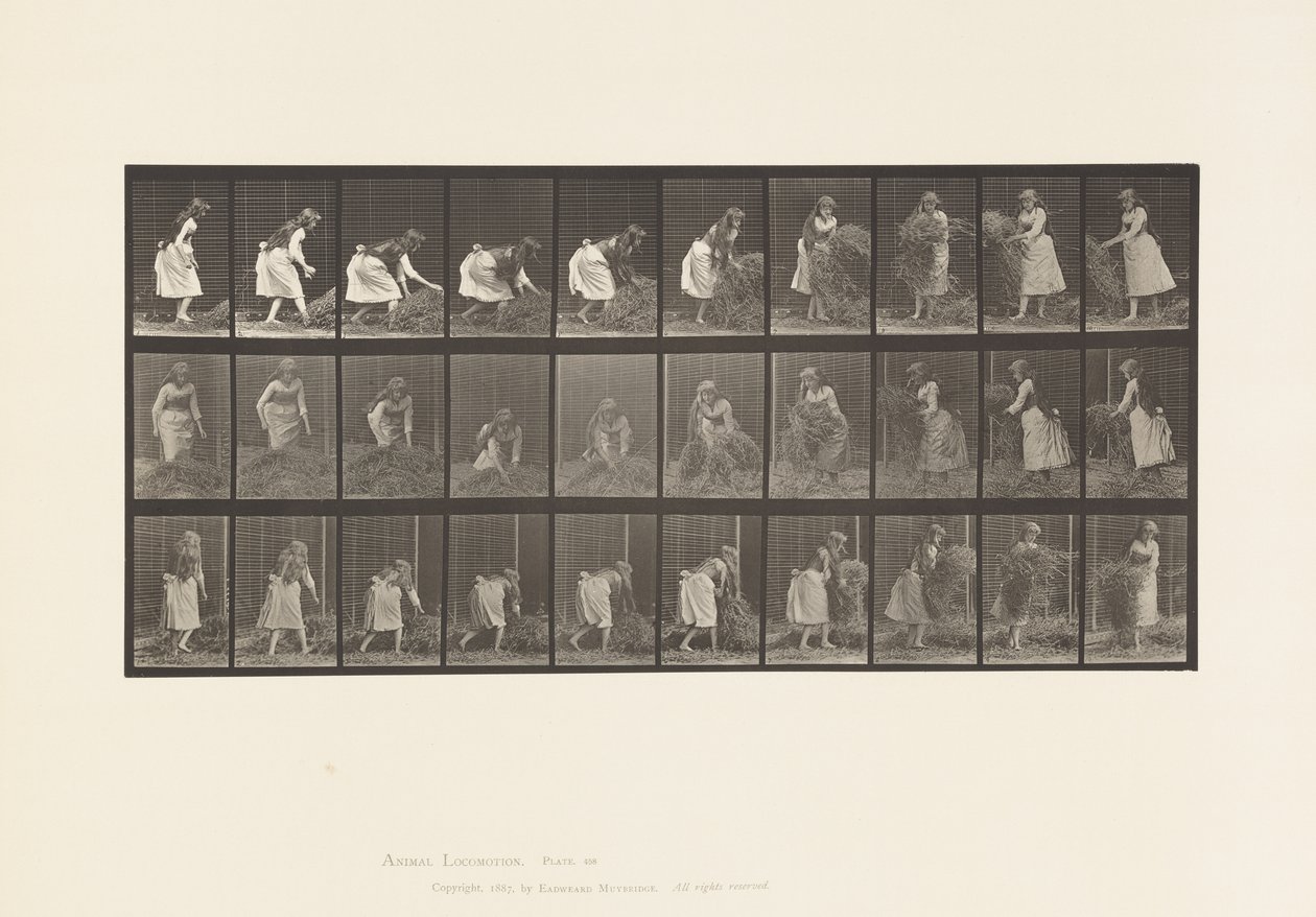 Tavola 458. Sollevare manciate di fieno, girare, gettarlo giù da Eadweard Muybridge