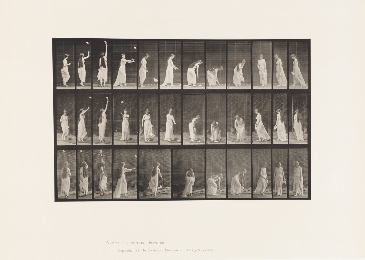 Raggiungere in alto, chinarsi e girarsi da Eadweard Muybridge