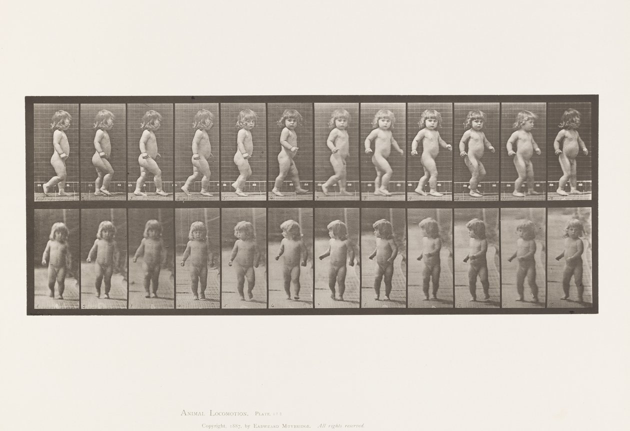 Piatto 468. Bambino che cammina da Eadweard Muybridge