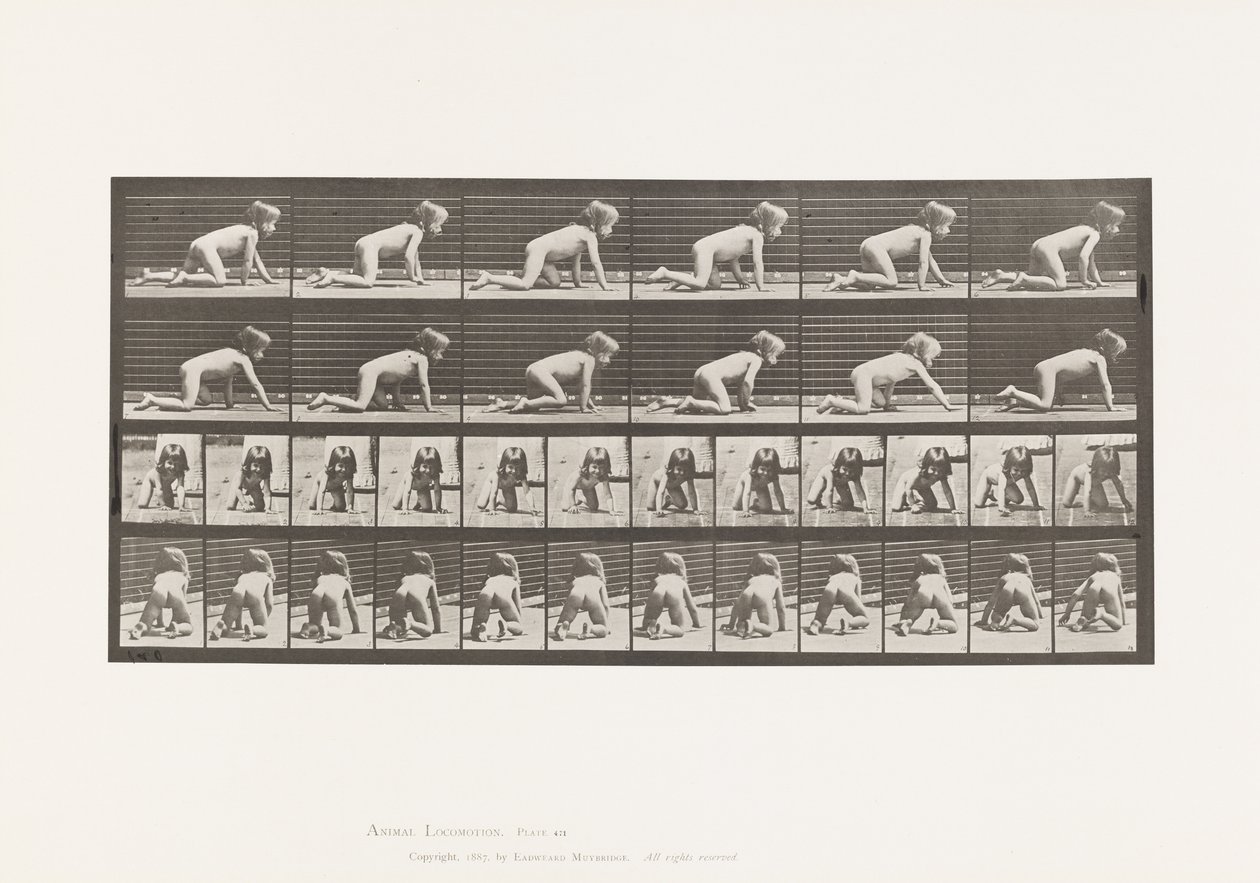 Tavola 471. Bambino, gattonare sulle mani e sulle ginocchia, 1885 da Eadweard Muybridge
