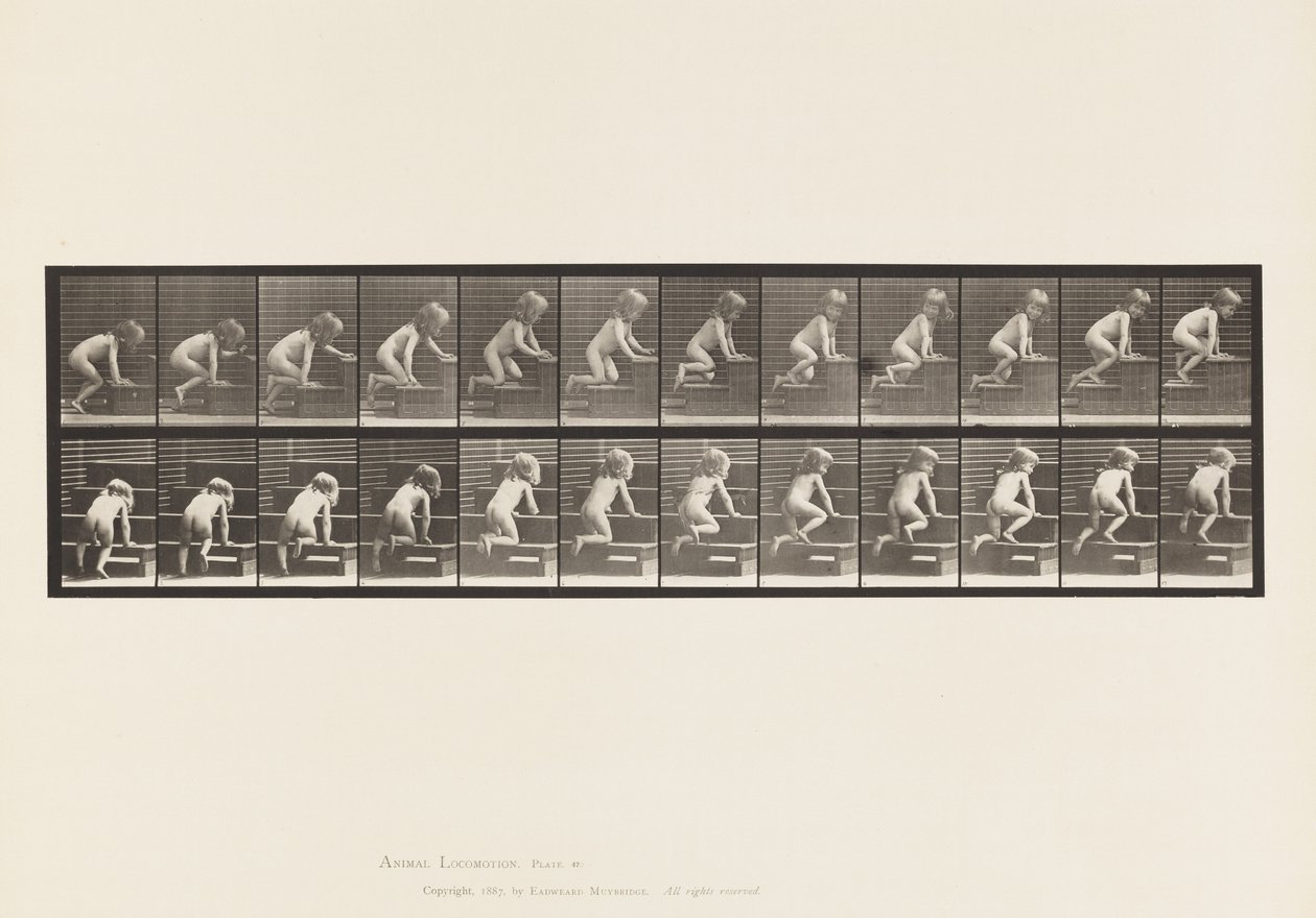Tavola 472. Bambino che striscia su per le scale, 1885 (collotipia su carta) da Eadweard Muybridge