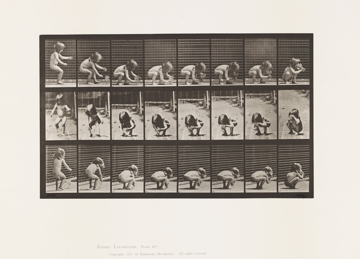 Tavola 477. Bambino, chinarsi, sollevare un calice e bere da Eadweard Muybridge