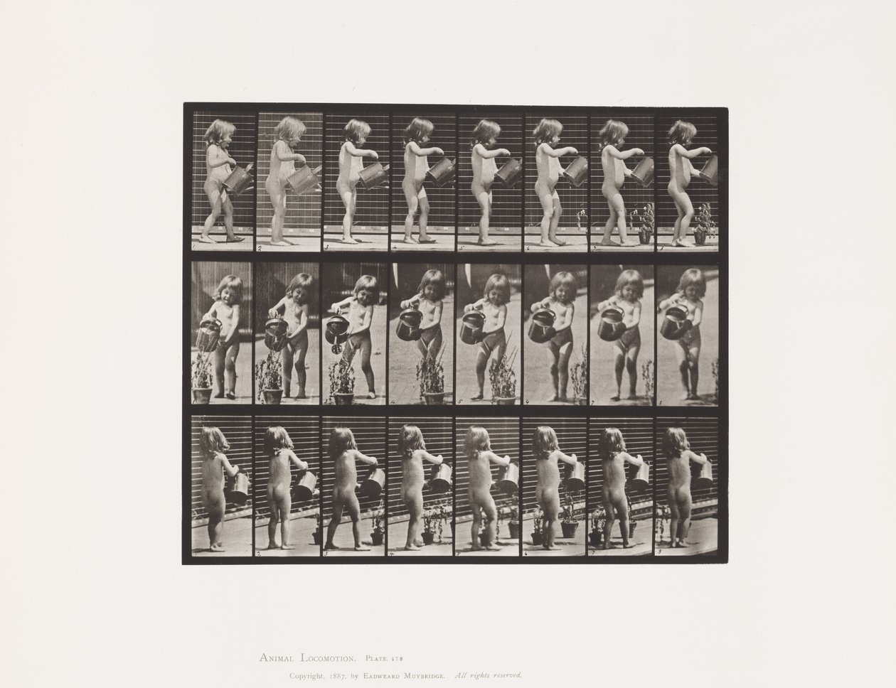 Bambino, spruzzare acqua sui fiori da Eadweard Muybridge