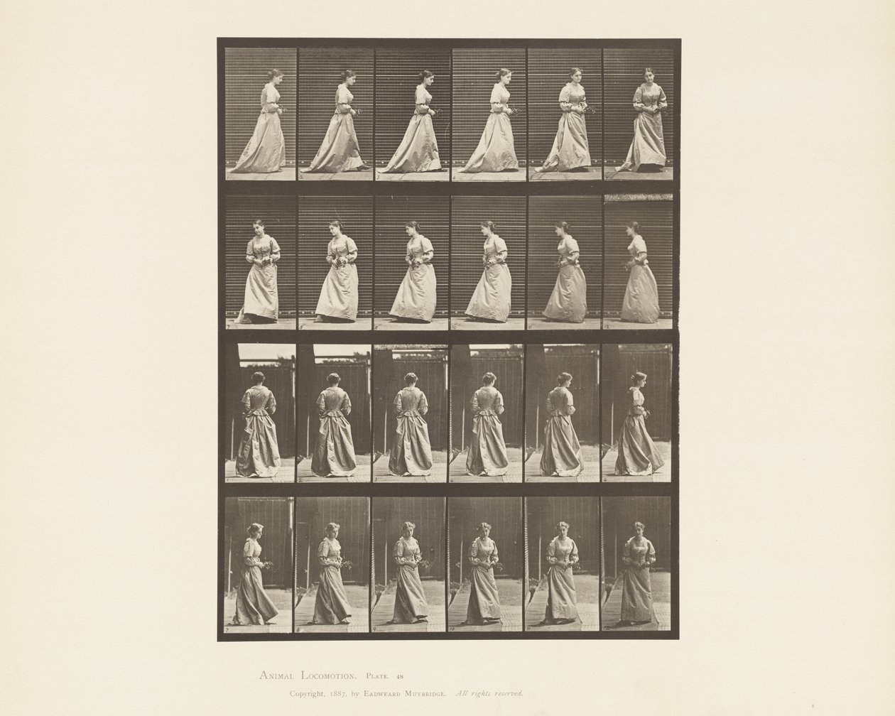 Camminare e girarsi, bouquet in entrambe le mani da Eadweard Muybridge
