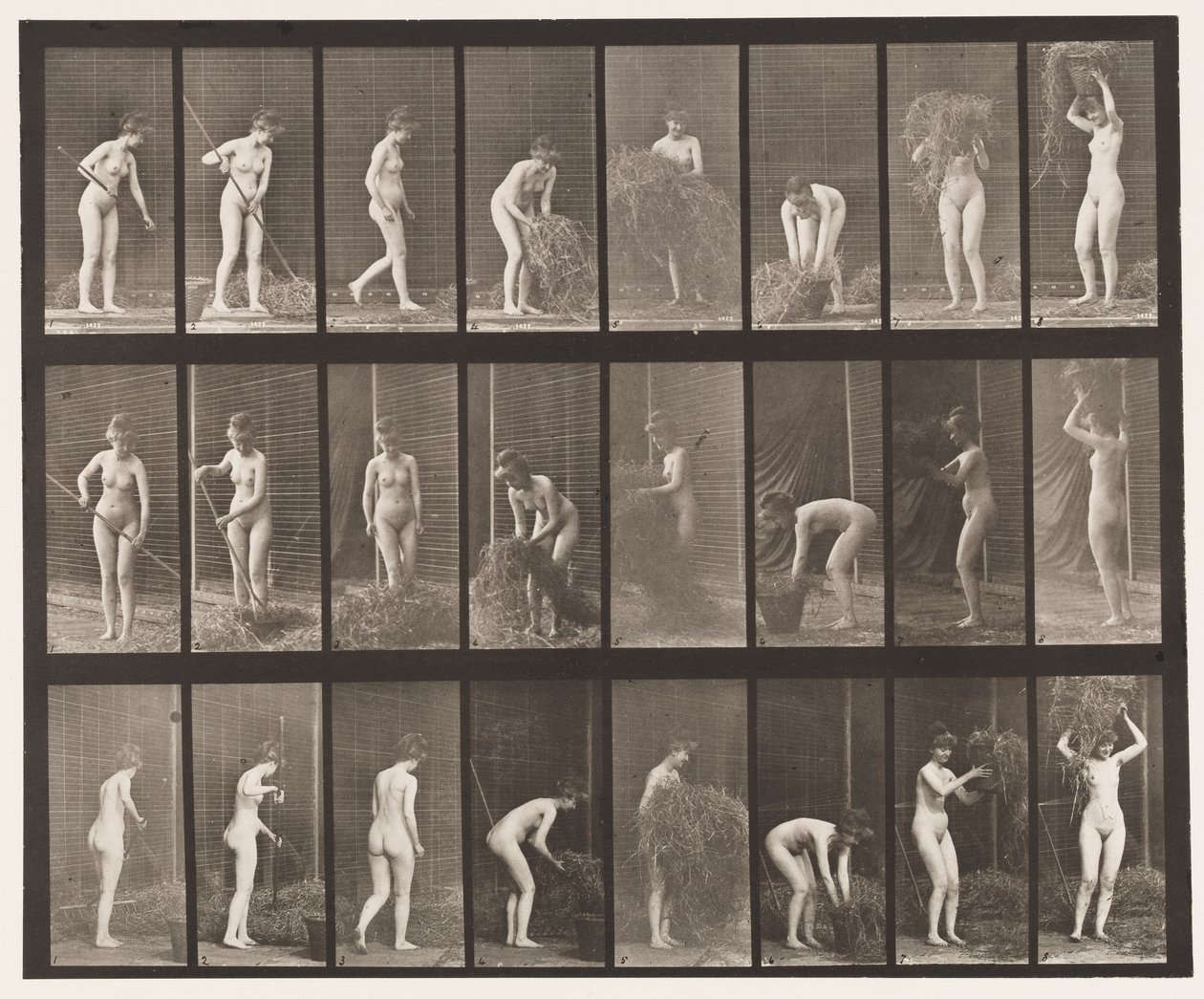 Rastrellare e imballare il fieno da Eadweard Muybridge