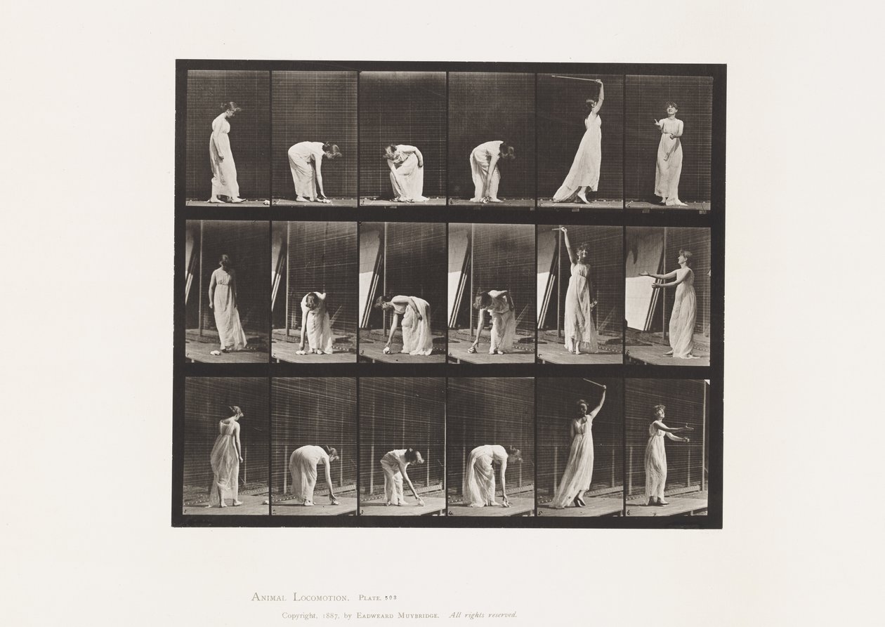 Tavola 503. Varie - Chinarsi, ecc. da Eadweard Muybridge