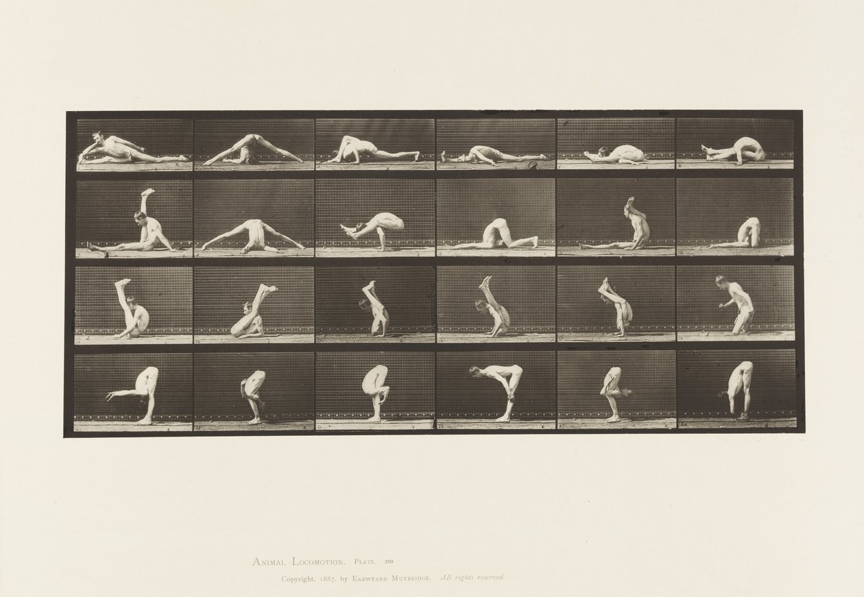 Contorsioni a Terra, 1872-1885 da Eadweard Muybridge