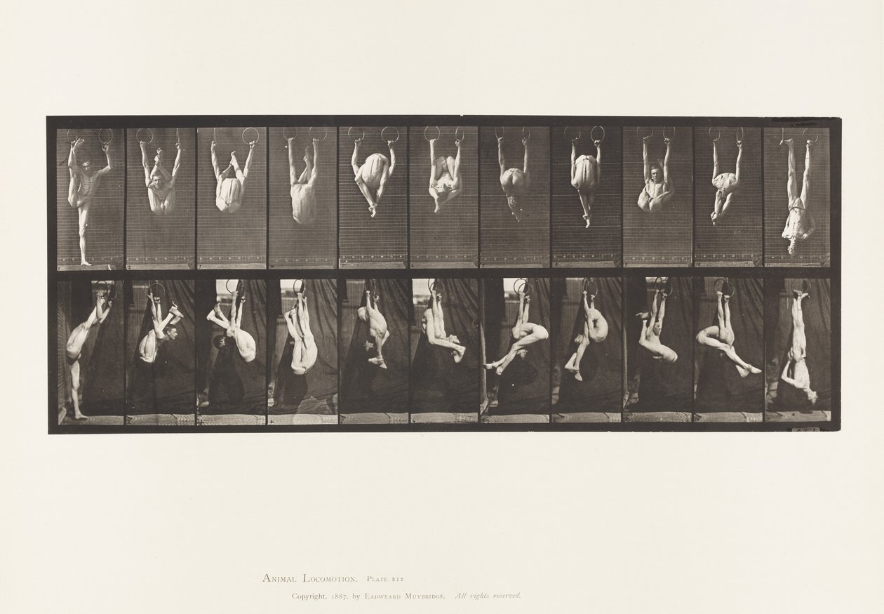 Contorsioni sugli anelli da Eadweard Muybridge