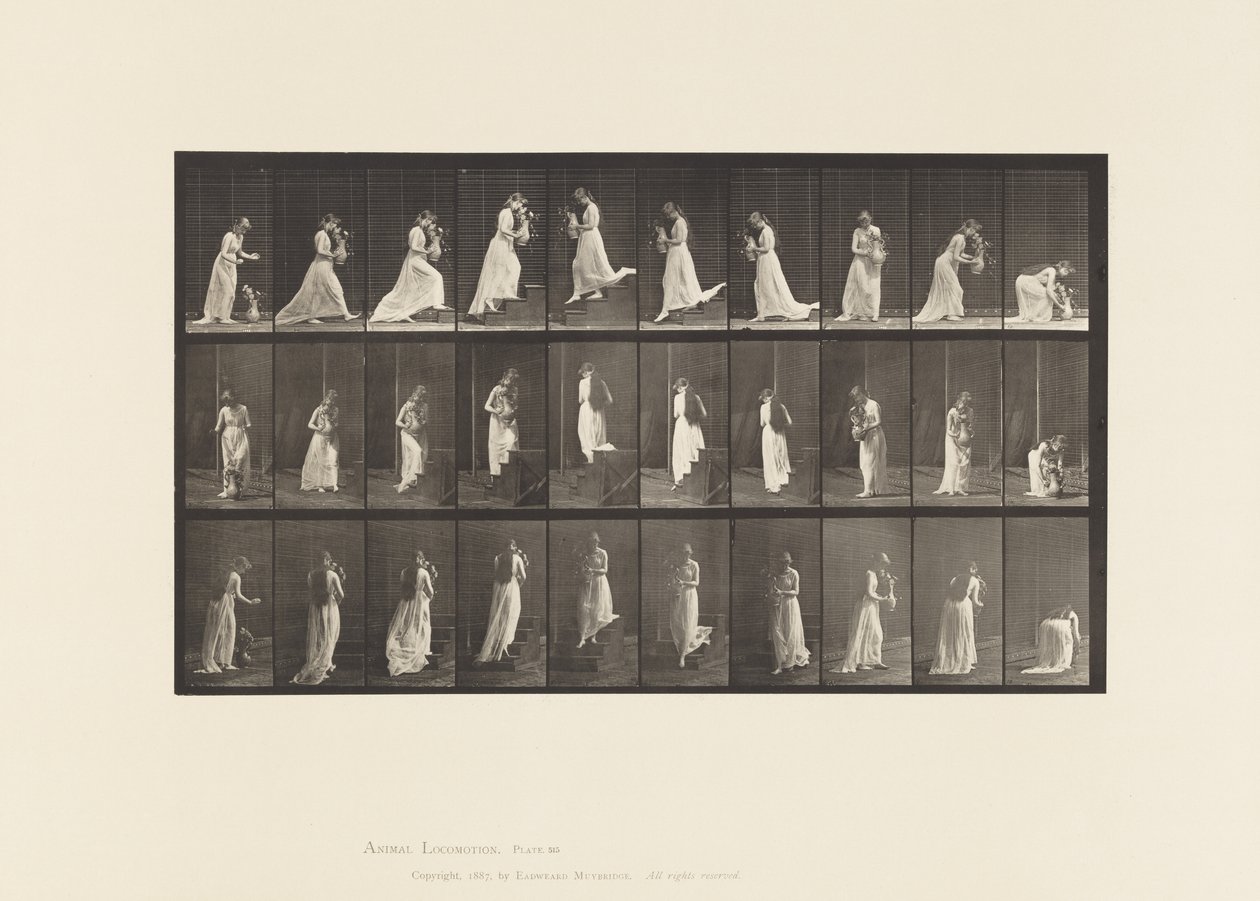Tavola 515. Salire e scendere le scale, ecc., 1885 da Eadweard Muybridge