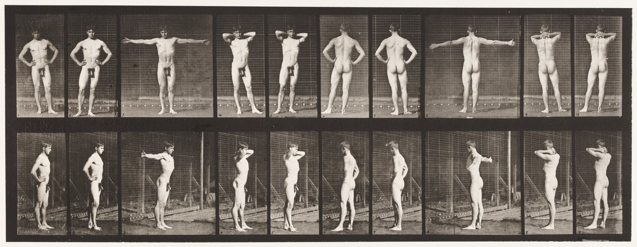 Tavola 529. Varie pose da Eadweard Muybridge