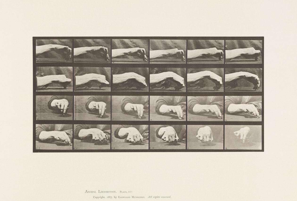 Movimento della Mano; Disegnare un Cerchio, 1885 da Eadweard Muybridge