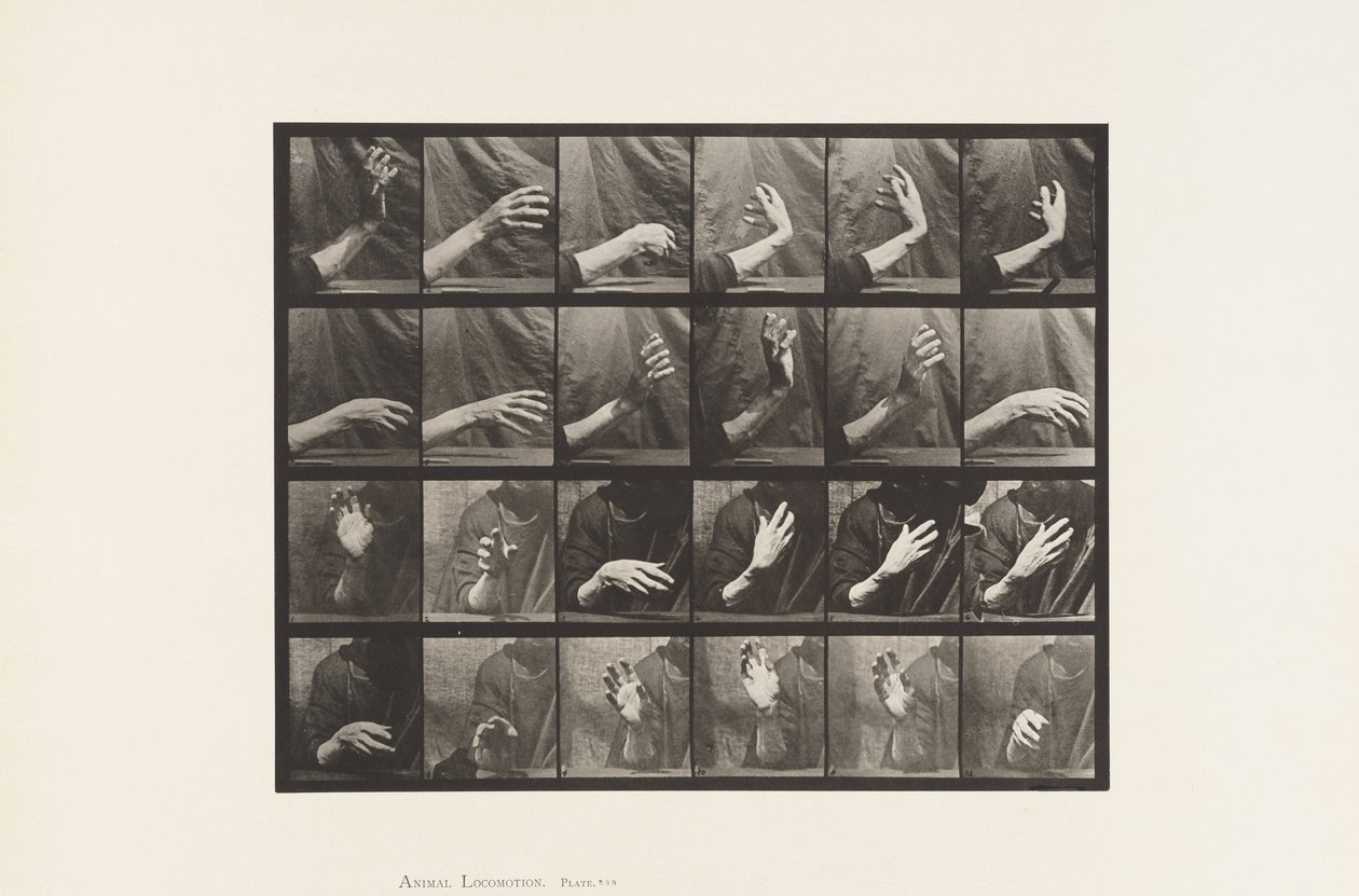 Movimento della mano; battere il tempo da Eadweard Muybridge
