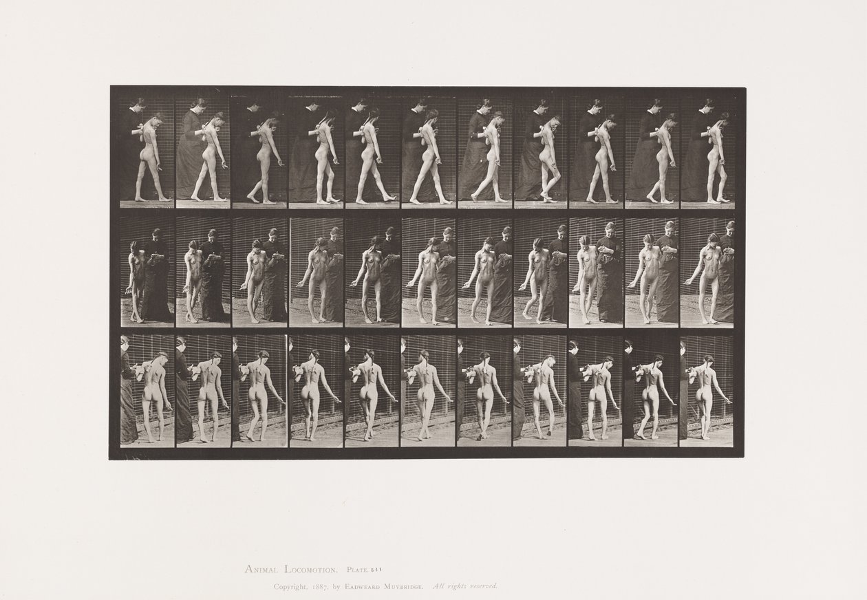 Tavola 541. Sclerosi Cerebro-Spinale Multipla (Coreica); Camminata da Eadweard Muybridge