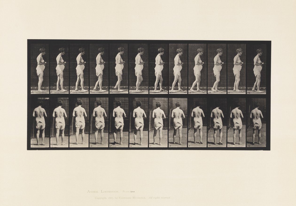 Tavola 542. Sclerosi Cerebro-Spinale Multipla - Camminando da Eadweard Muybridge