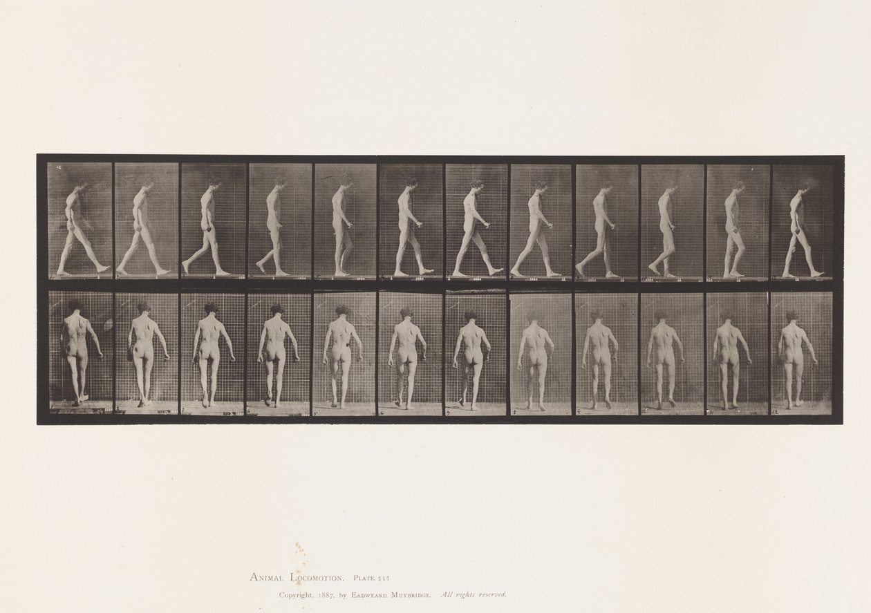 Atassia locomotoria; camminare da Eadweard Muybridge