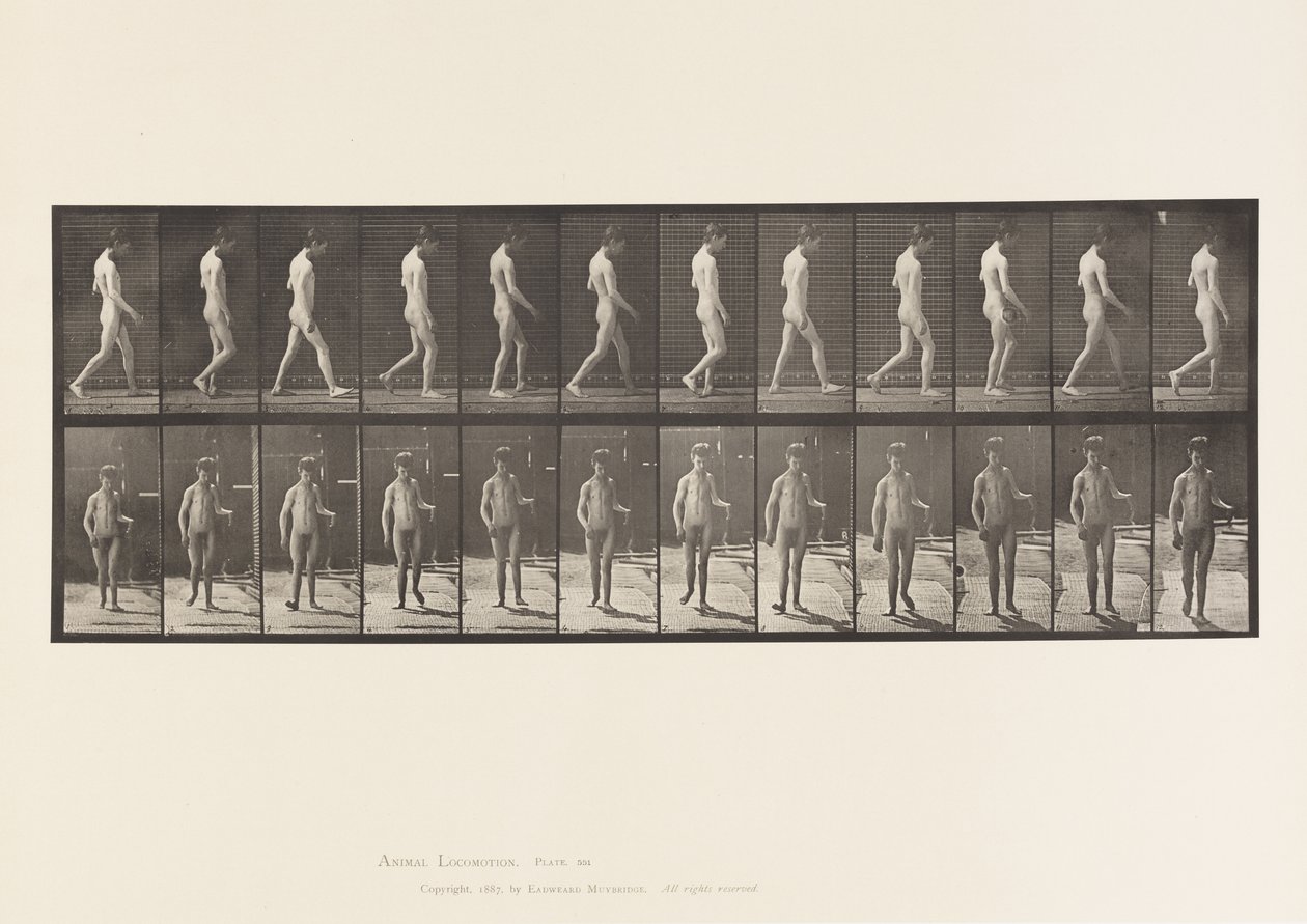 Epilessia; camminare da Eadweard Muybridge