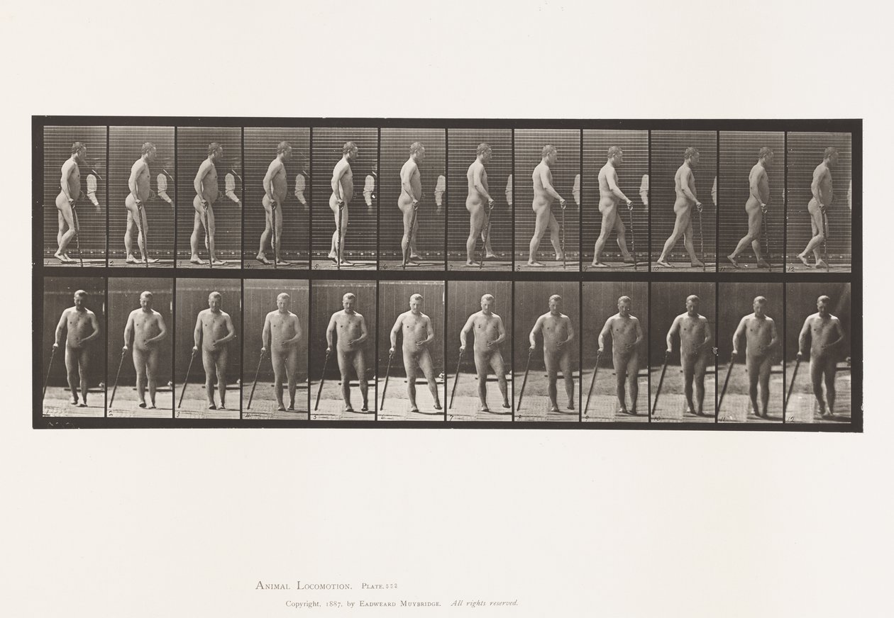 Tavola 552. Emiplegia; camminare con un bastone, 1885 da Eadweard Muybridge