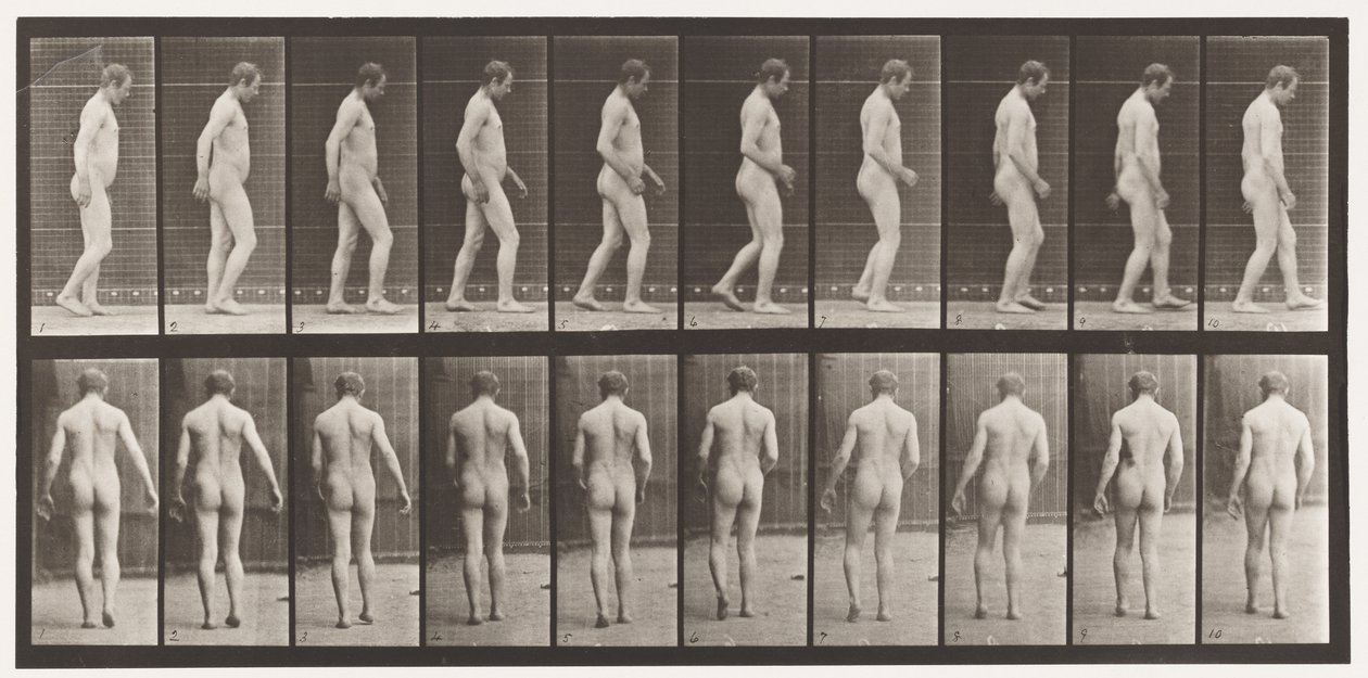 Dopo un trauma cranico; camminare da Eadweard Muybridge