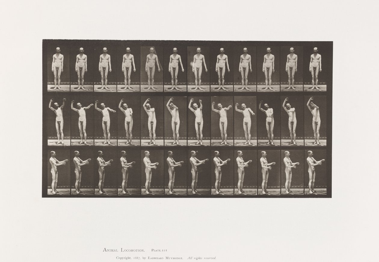 Corea locale; A, B, C, mentre si è in piedi da Eadweard Muybridge
