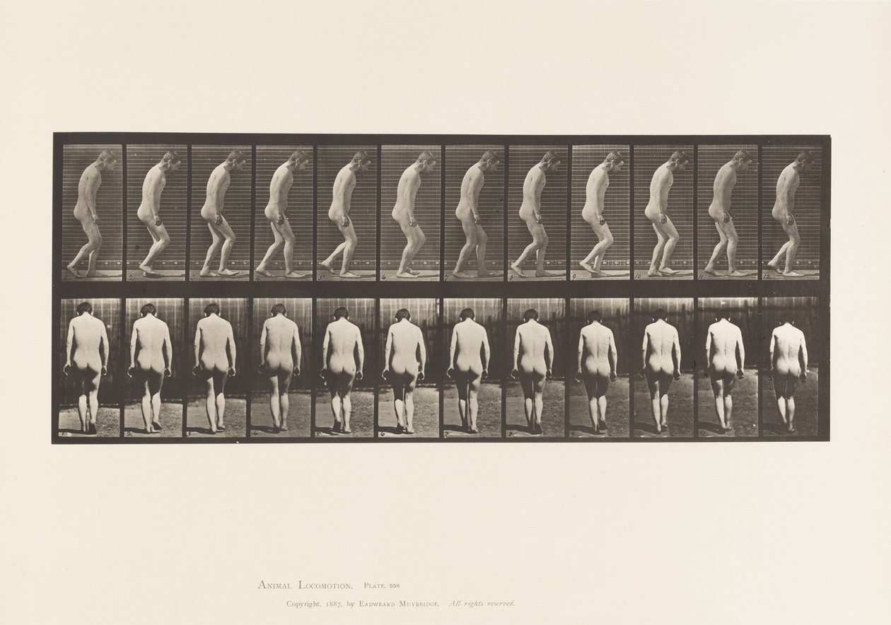 Tavola 558. Paraplegia; parziale; camminare, 1885 da Eadweard Muybridge
