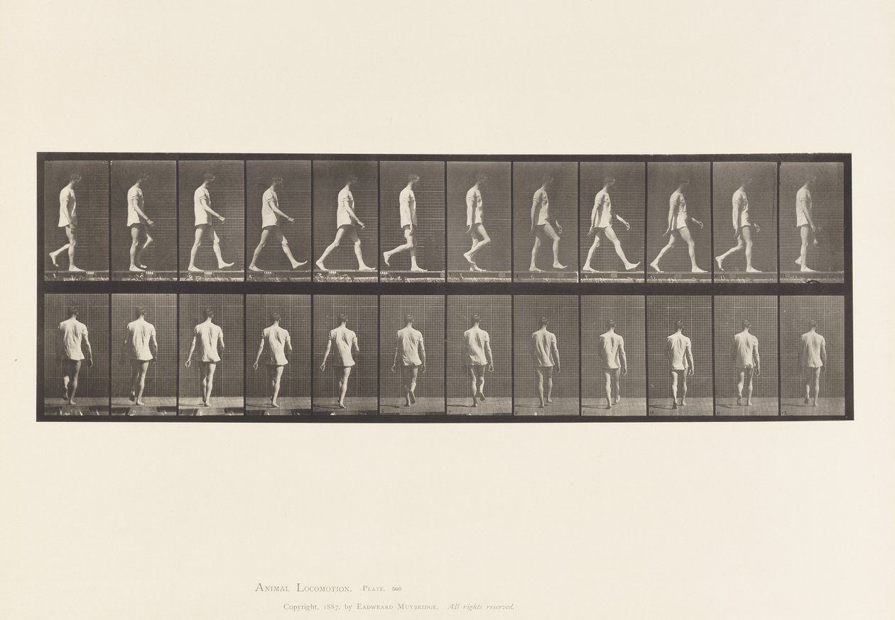 Tavola 560. Atassia locomotoria; camminare, 1885 da Eadweard Muybridge