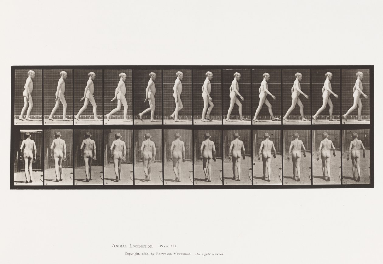 Tavola 562. Curvatura Laterale della Colonna Vertebrale; Camminata da Eadweard Muybridge