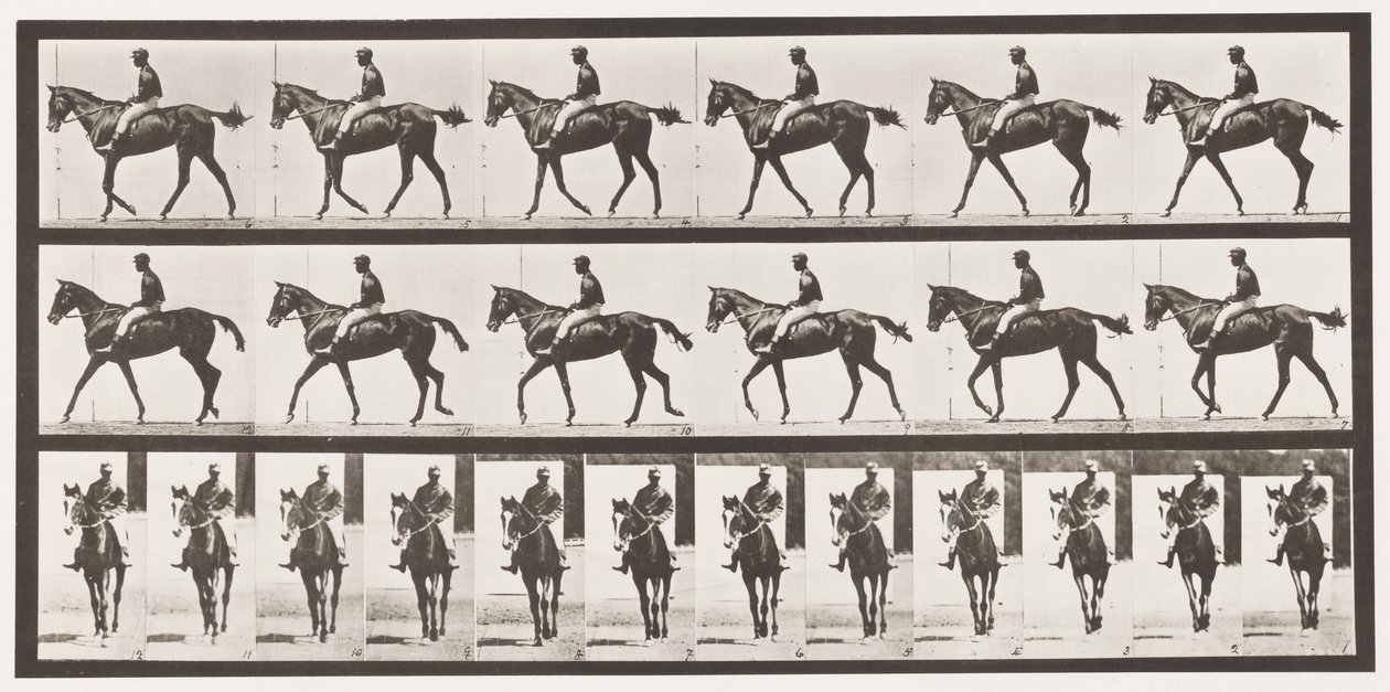 Tavola 580. Camminare; sella; purosangue baio Annie G., 1885 da Eadweard Muybridge