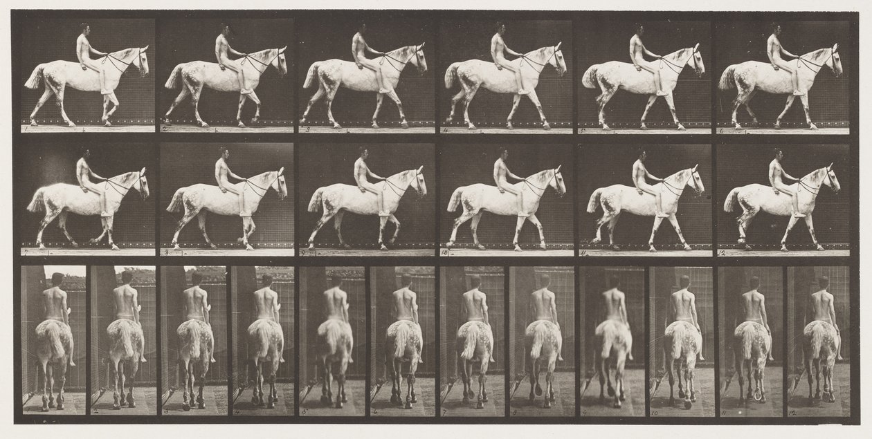 Camminare; Cavallo grigio chiaro senza sella; Cavaliere nudo da Eadweard Muybridge