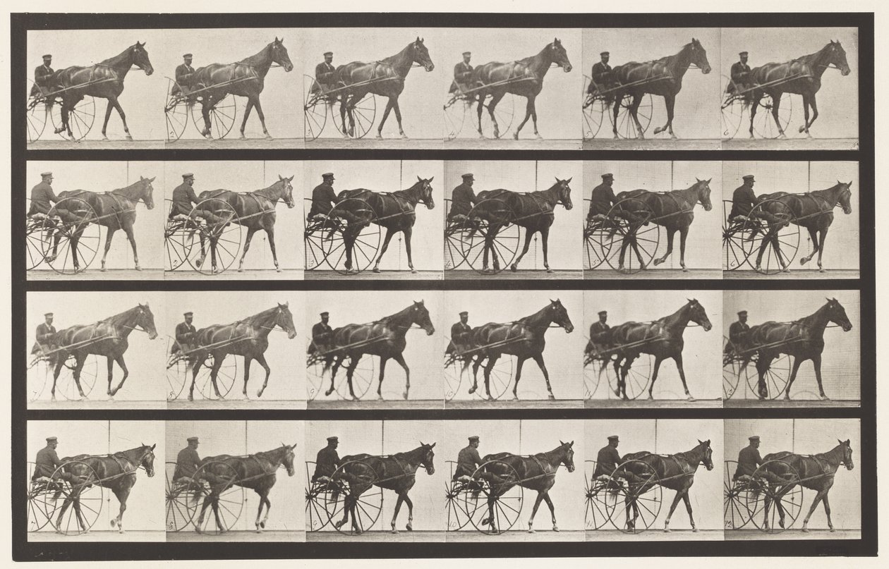 Camminare; Sulky; Giumenta Sorrel Nellie Rose, 1885 da Eadweard Muybridge